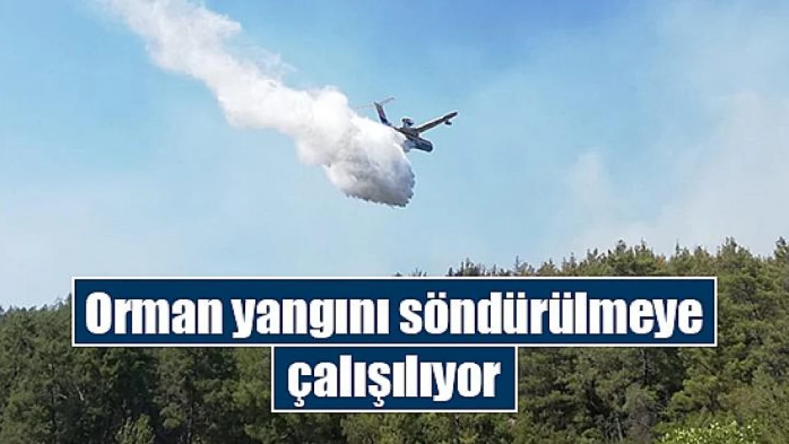 Orman yangını söndürülmeye çalışılıyor