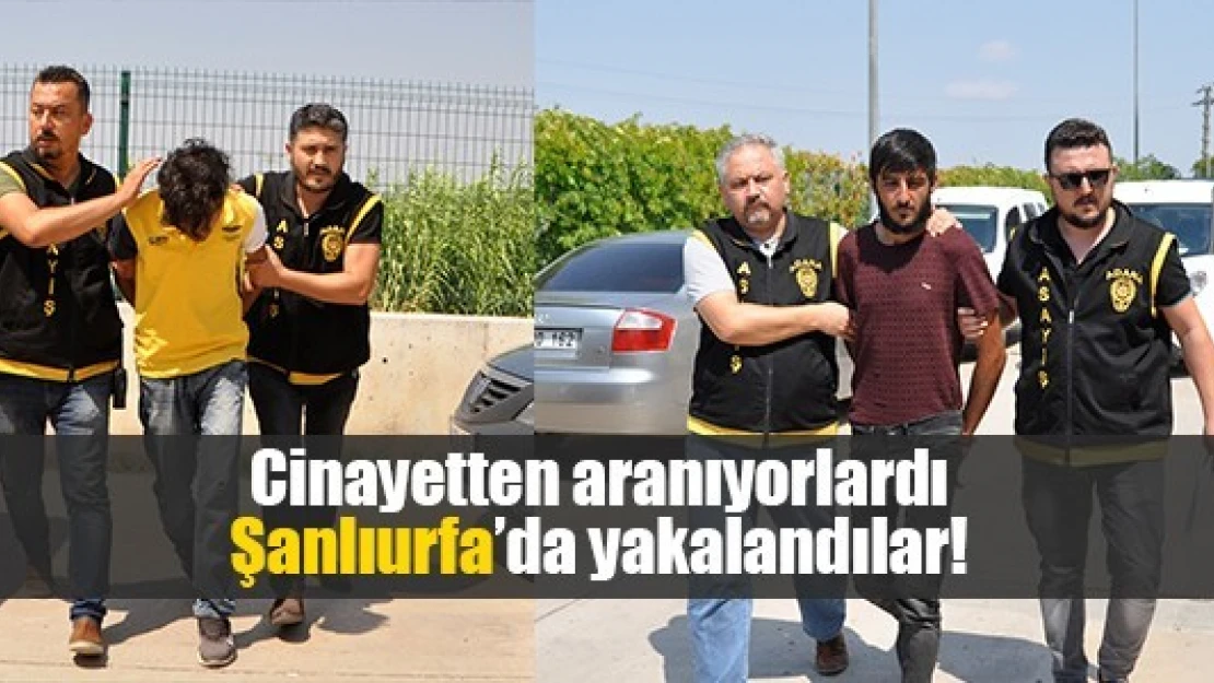 Cinayetten aranıyorlardı Şanlıurfa'da yakalandılar!