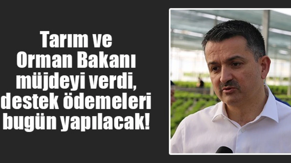 Tarım ve Orman Bakanı müjdeyi verdi destek ödemeleri bugün yapılacak!