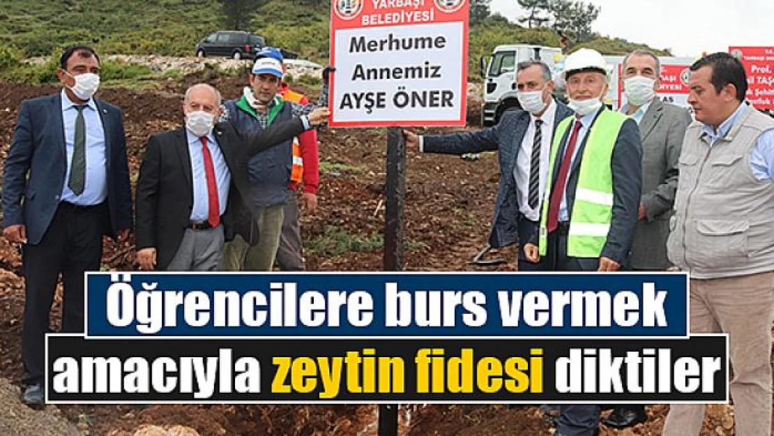 Öğrencilere burs vermek amacıyla zeytin fidesi diktiler