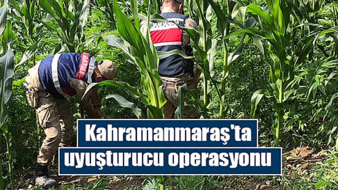 Kahramanmaraş'ta uyuşturucu operasyonu