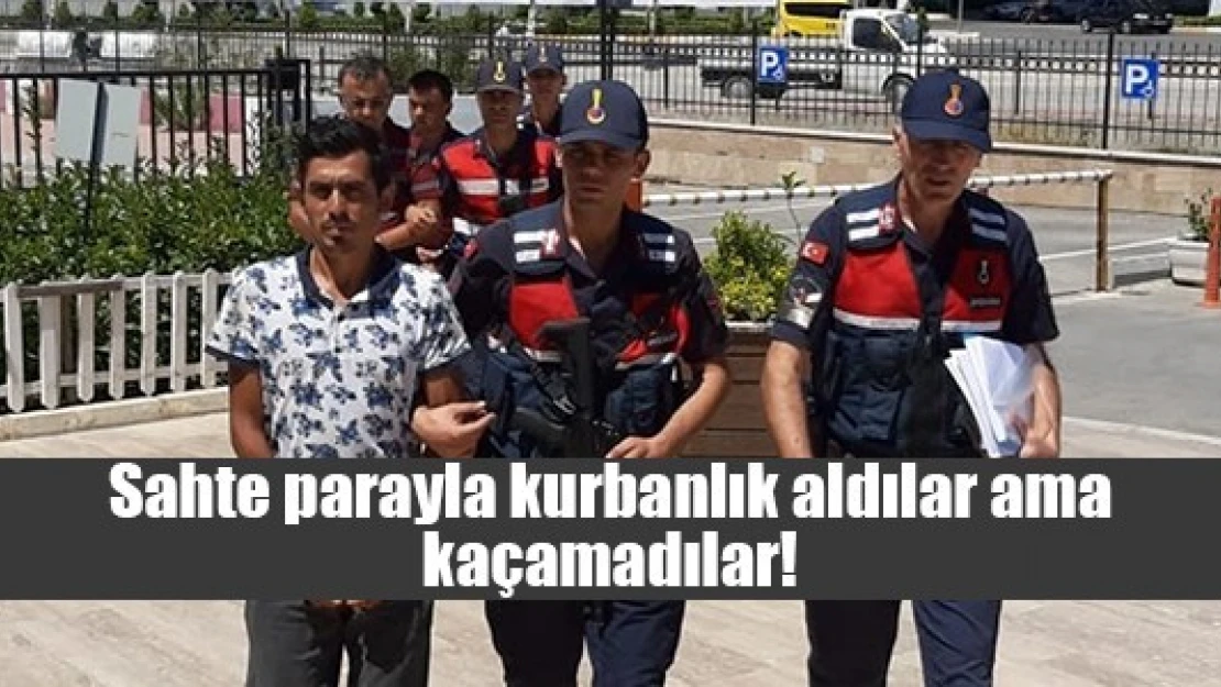 Sahte parayla kurbanlık aldılar ama kaçamadılar!