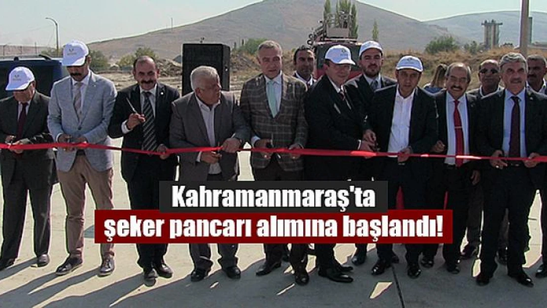 Kahramanmaraş'ta şeker pancarı alımına başlandı!