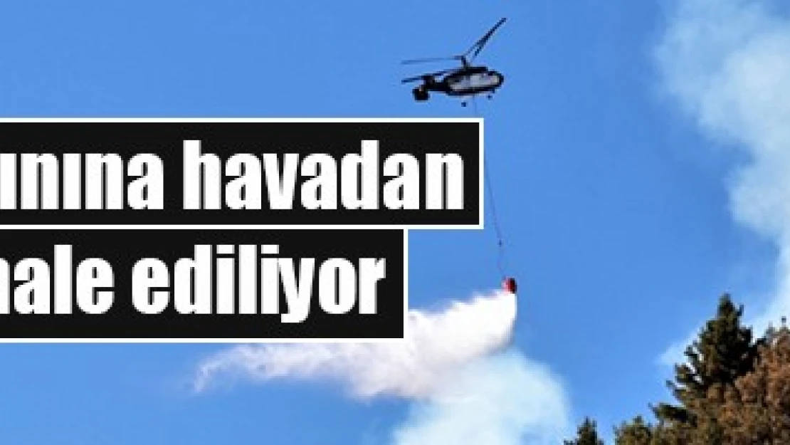 Çıkan orman yangınına havadan ve karadan müdahale ediliyor