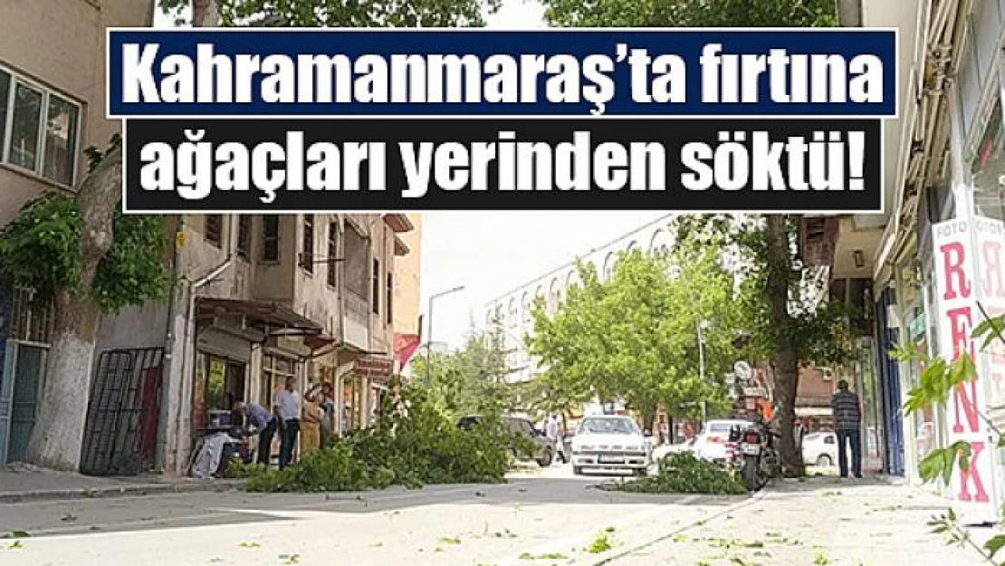 Kahramanmaraş'ta fırtına ağaçları yerinden söktü