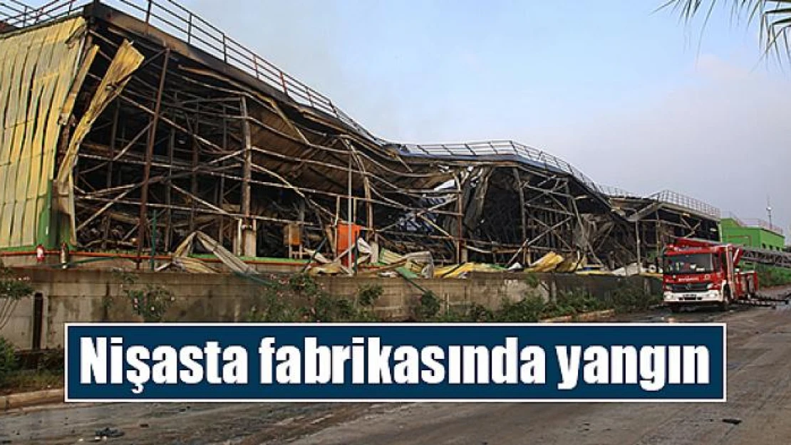 Nişasta fabrikasında yangın