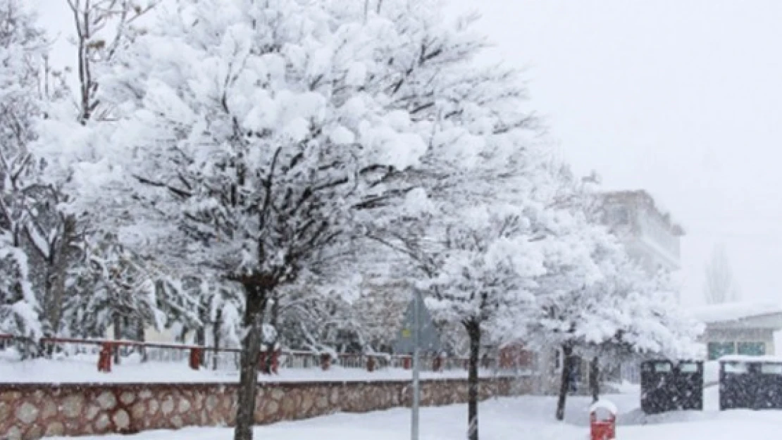 Nurhak merkezinde kar kalınlığı 80 cm'ye ulaştı!