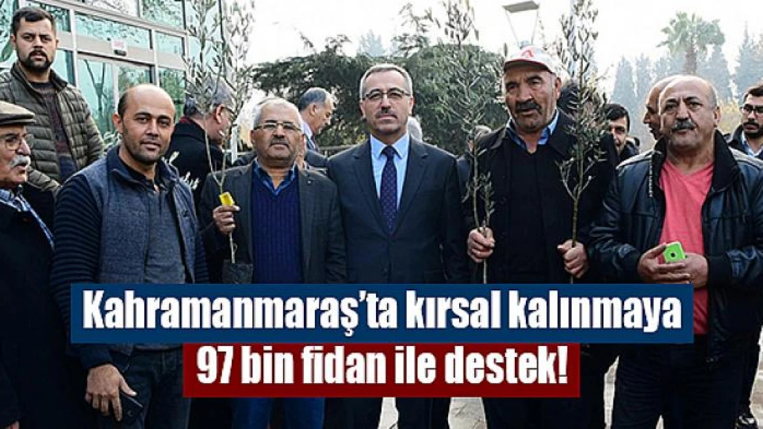 Kırsal kalınmaya 97 bin fidan ile destek!