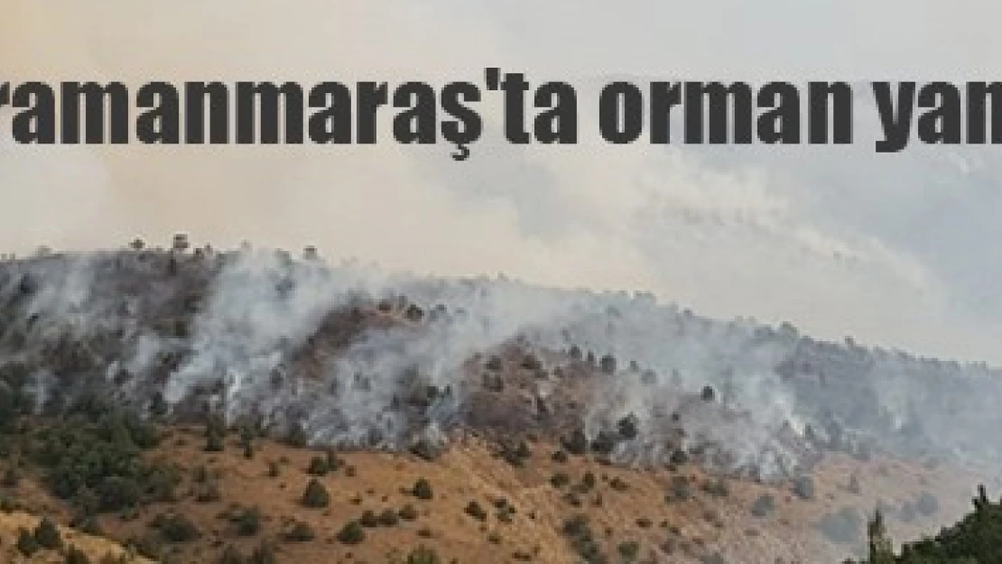 Kahramanmaraş'ta orman yangını!