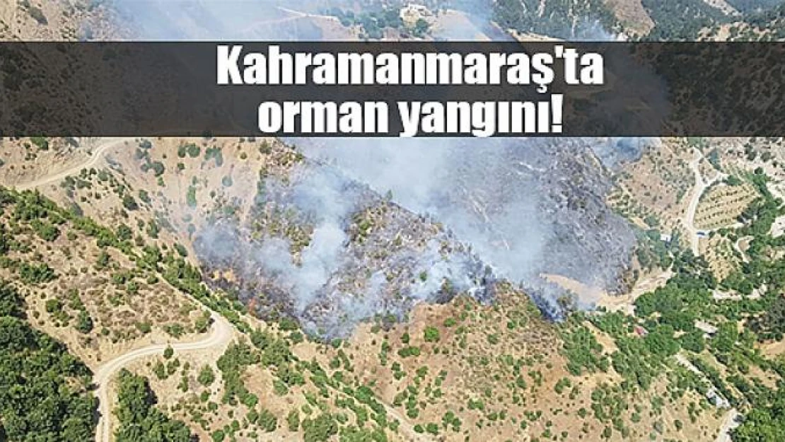 Kahramanmaraş'ta orman yangını!