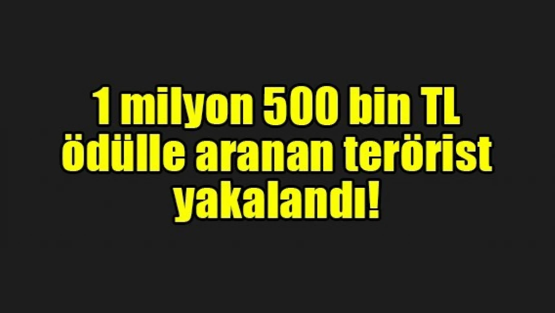 1 milyon 500 bin TL ödülle aranan terörist yakalandı!