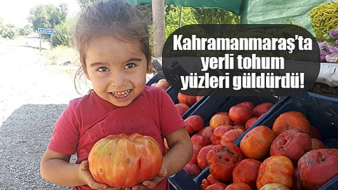 Kahramanmaraş'ta yerli tohum yüzleri güldürdü!