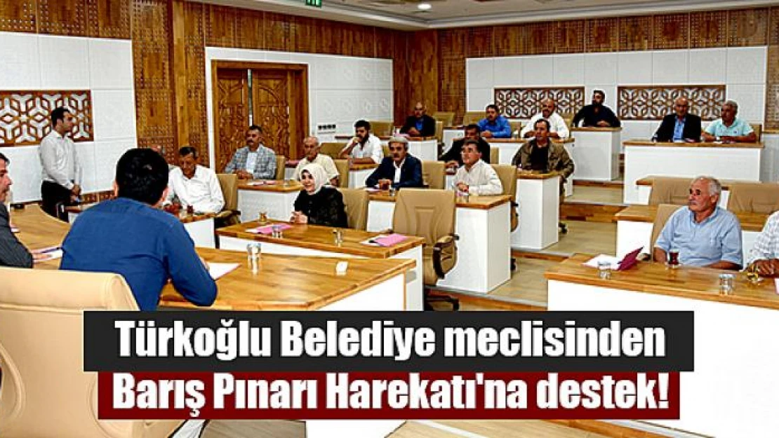 Türkoğlu Belediye meclisinden Barış Pınarı Harekatı'na destek!