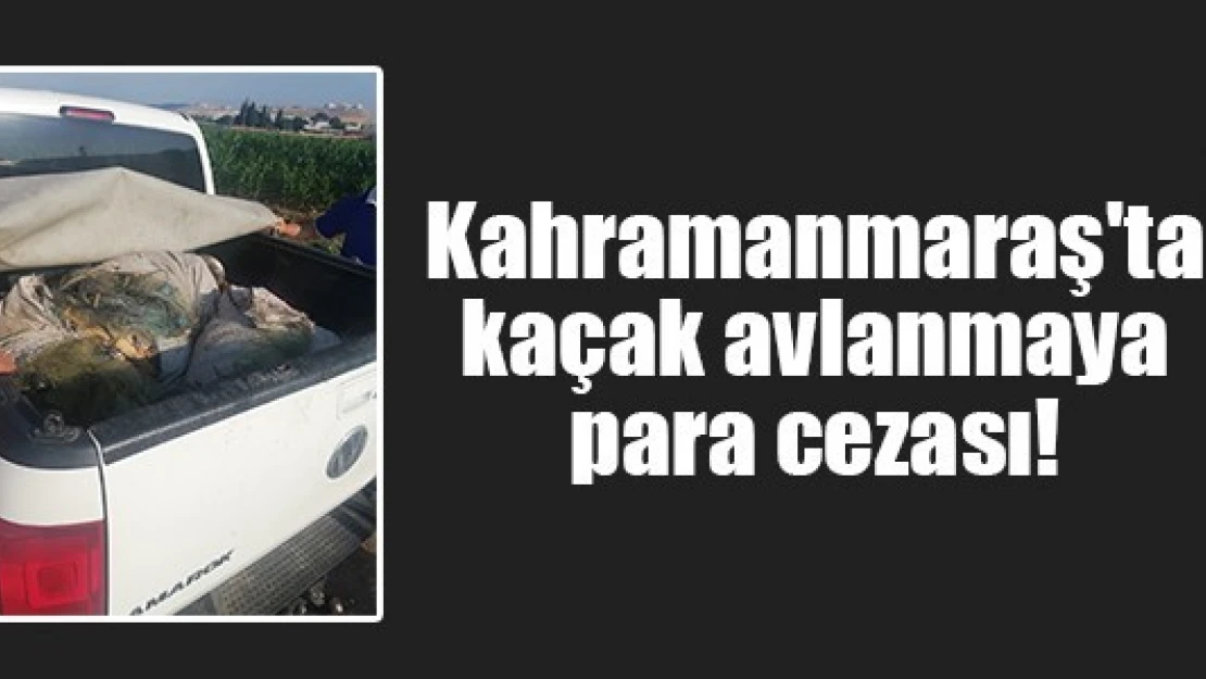 Kahramanmaraş'ta kaçak avlanmaya para cezası!