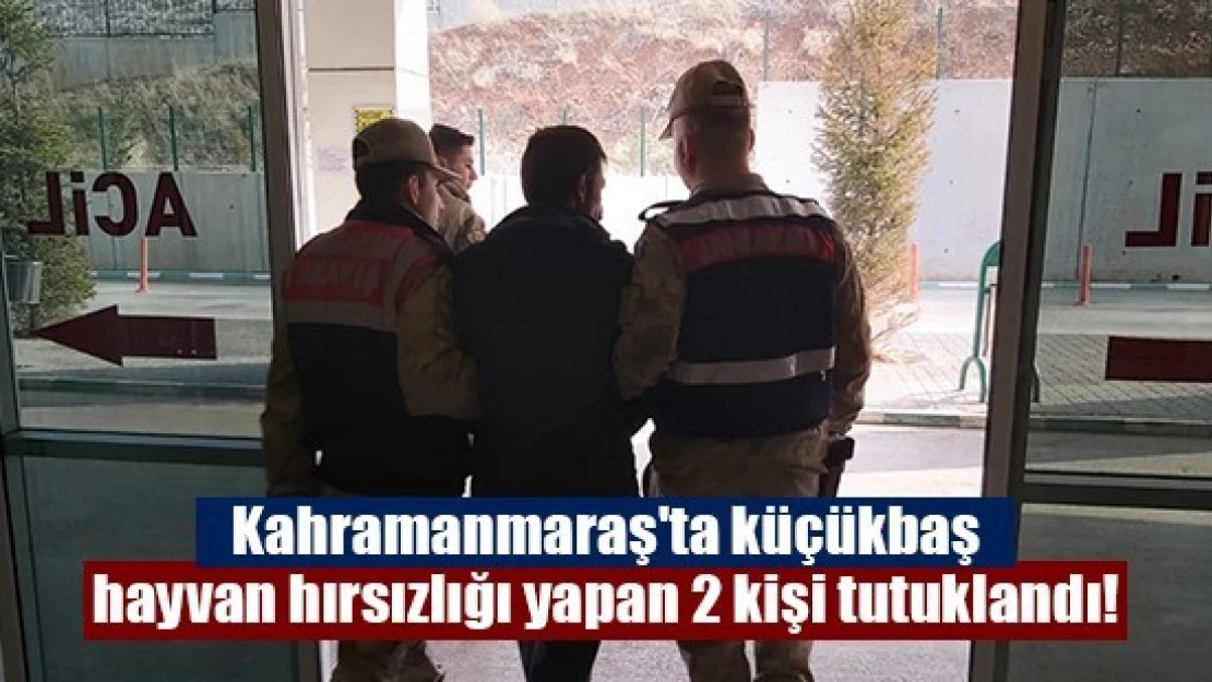 Kahramanmaraş'ta küçükbaş hayvan hırsızlığı yapan 2 kişi tutuklandı!