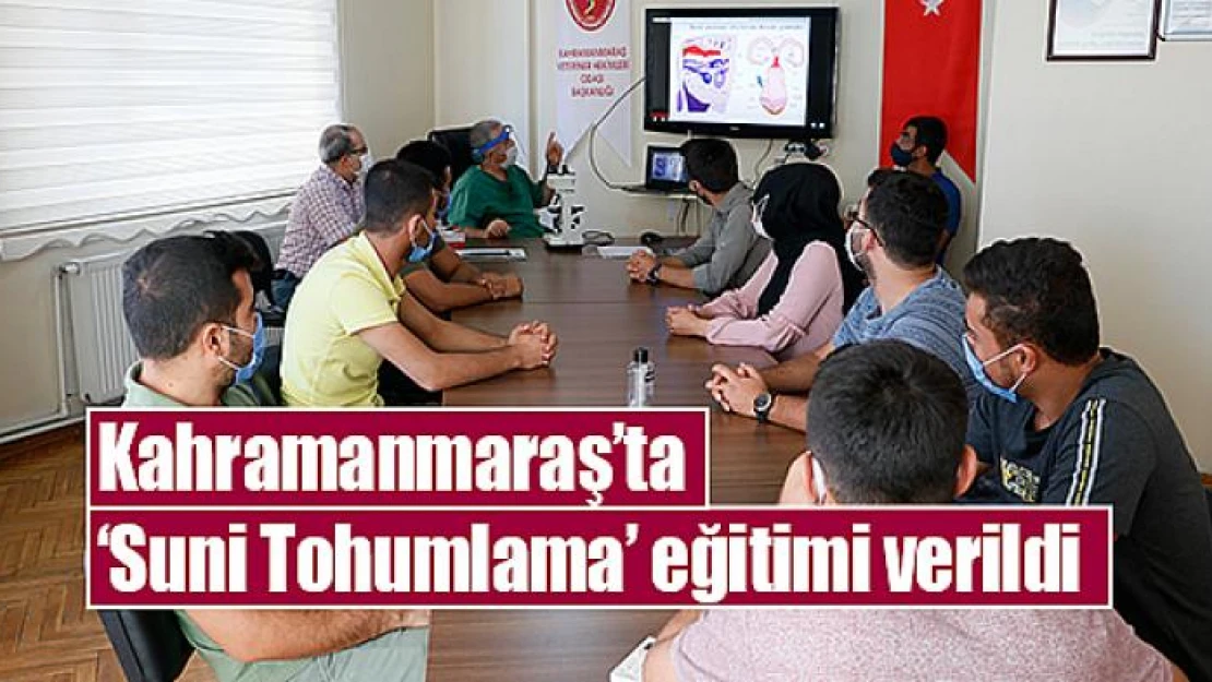 Kahramanmaraş'ta 'Suni Tohumlama' eğitimi verildi