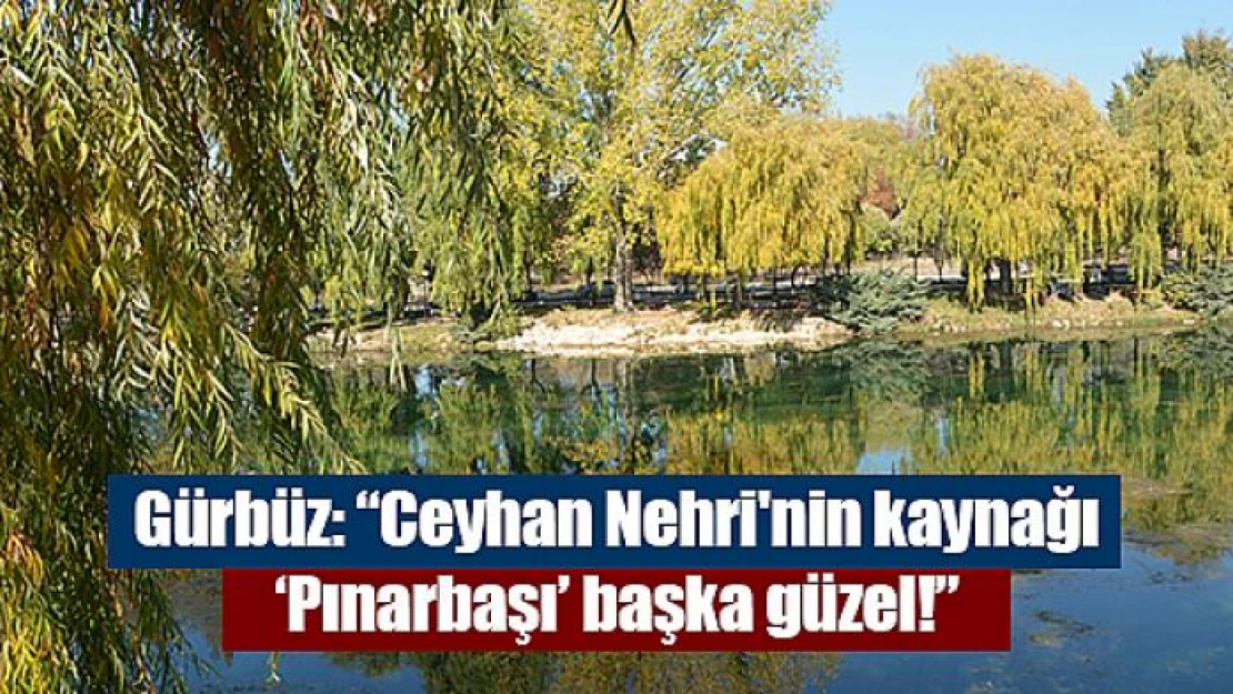 Gürbüz: 'Ceyhan Nehri'nin kaynağı 'Pınarbaşı' başka güzel!'