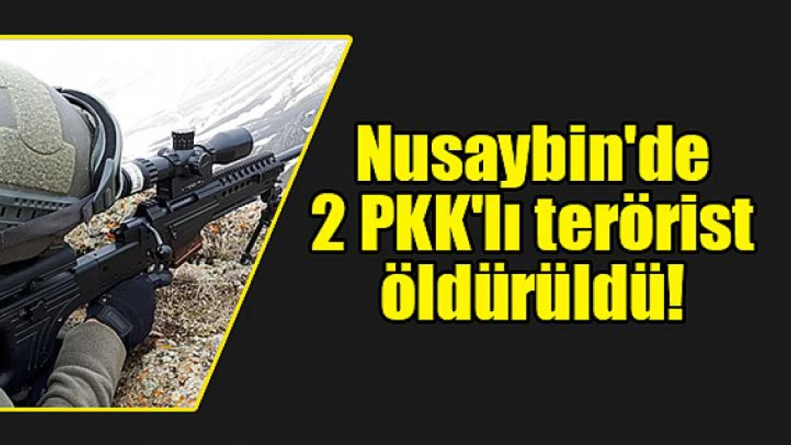 Nusaybin'de 2 PKK'lı terörist öldürüldü!