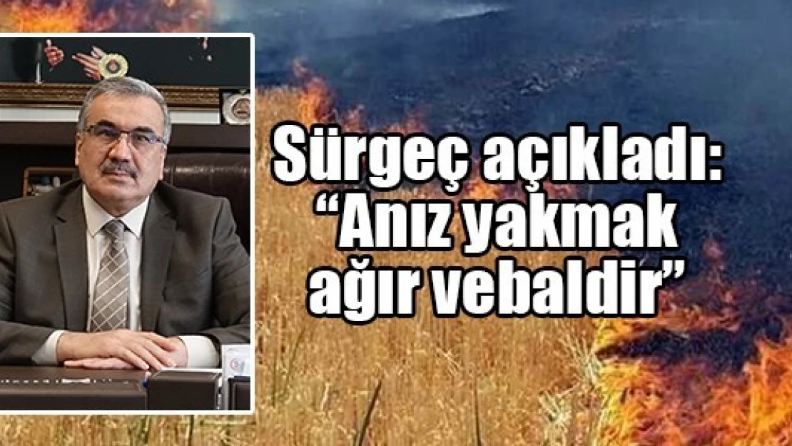 Sürgeç açıkladı: 'Anız yakmak ağır vebaldir'