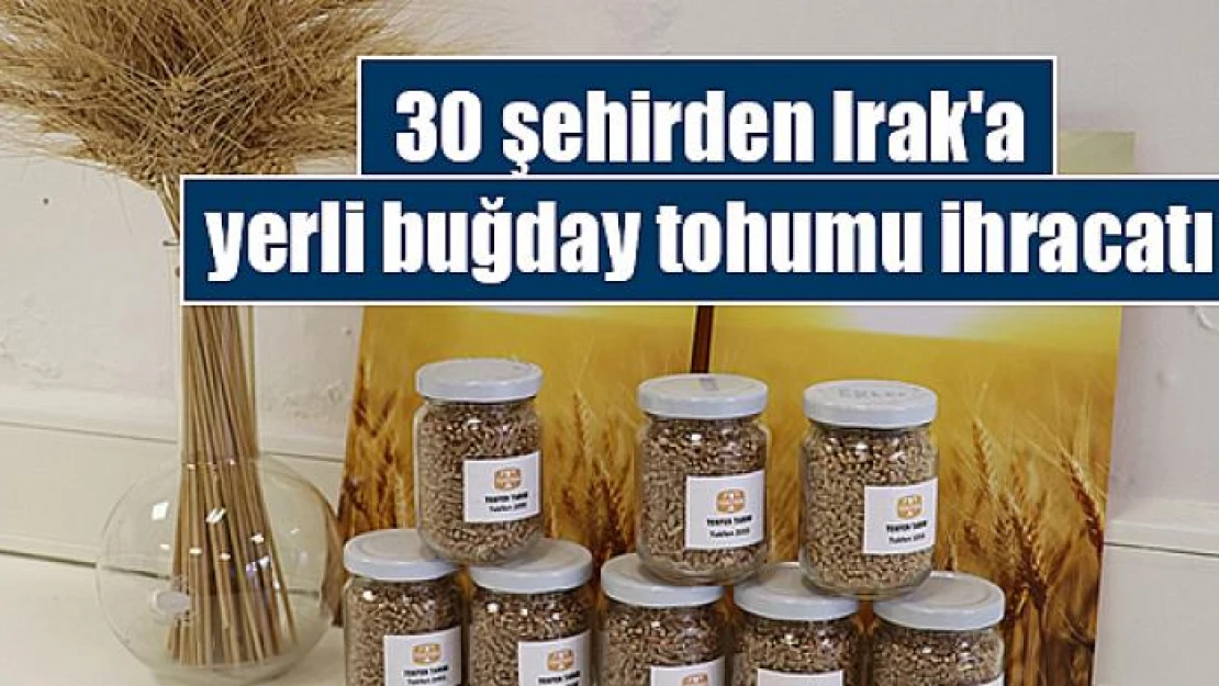 30 şehirden Irak'a yerli buğday tohumu ihracatı