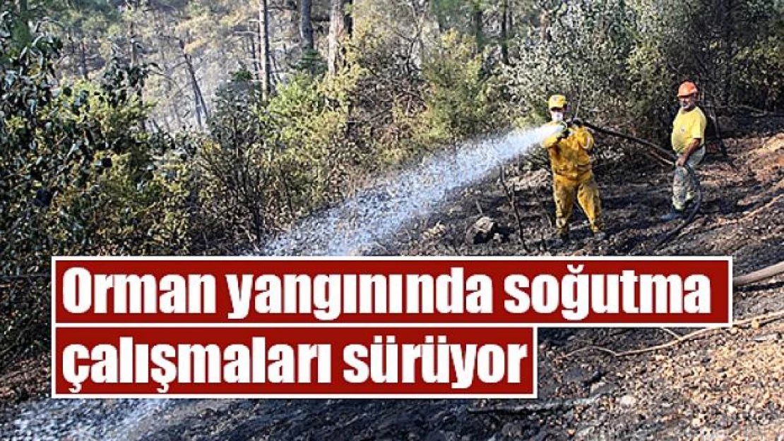 Orman yangınında soğutma çalışmaları sürüyor