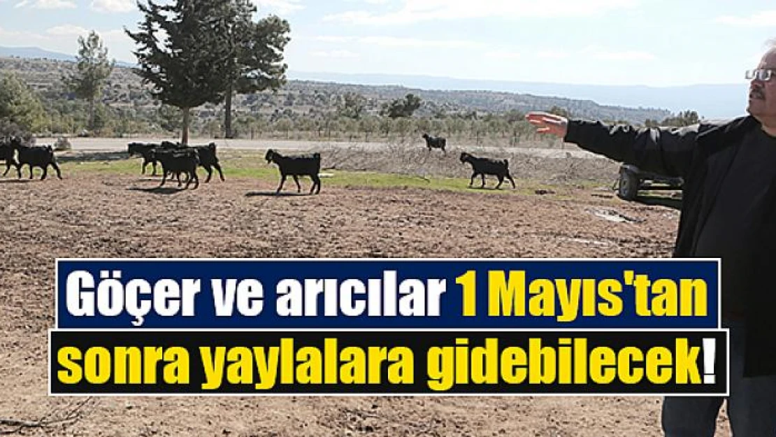 Göçer ve arıcılar 1 Mayıs'tan sonra yaylalara gidebilecek!