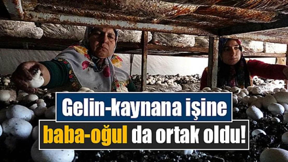 Gelin-kaynana işine baba-oğul da ortak oldu!