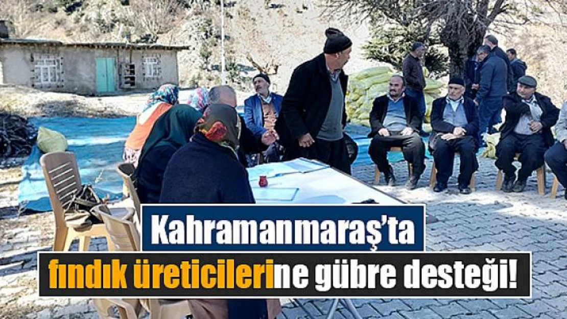 Kahramanmaraş'ta fındık üreticilerine gübre desteği!