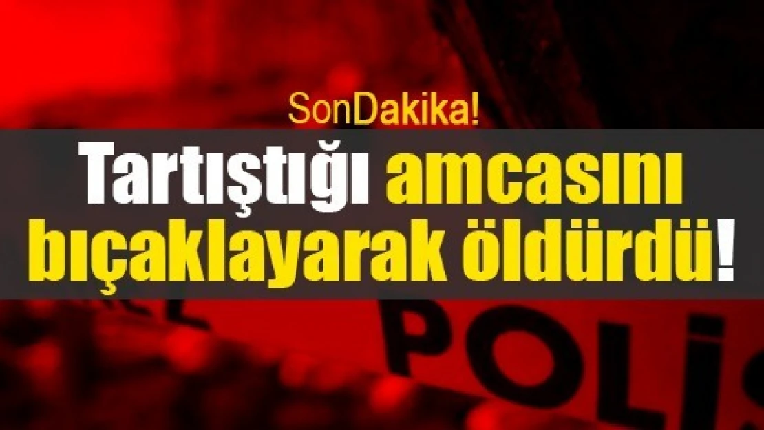 Tartıştığı amcasını bıçaklayarak öldürdü!