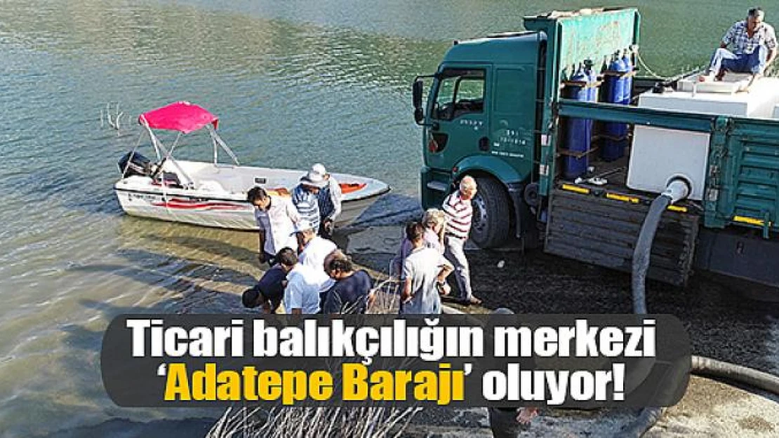 Ticari balıkçılığın merkezi 'Adatepe Barajı' oluyor!