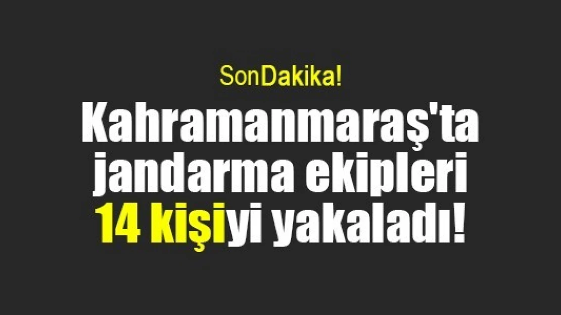 Kahramanmaraş'ta jandarma ekipleri 14 kişiyi yakaladı!