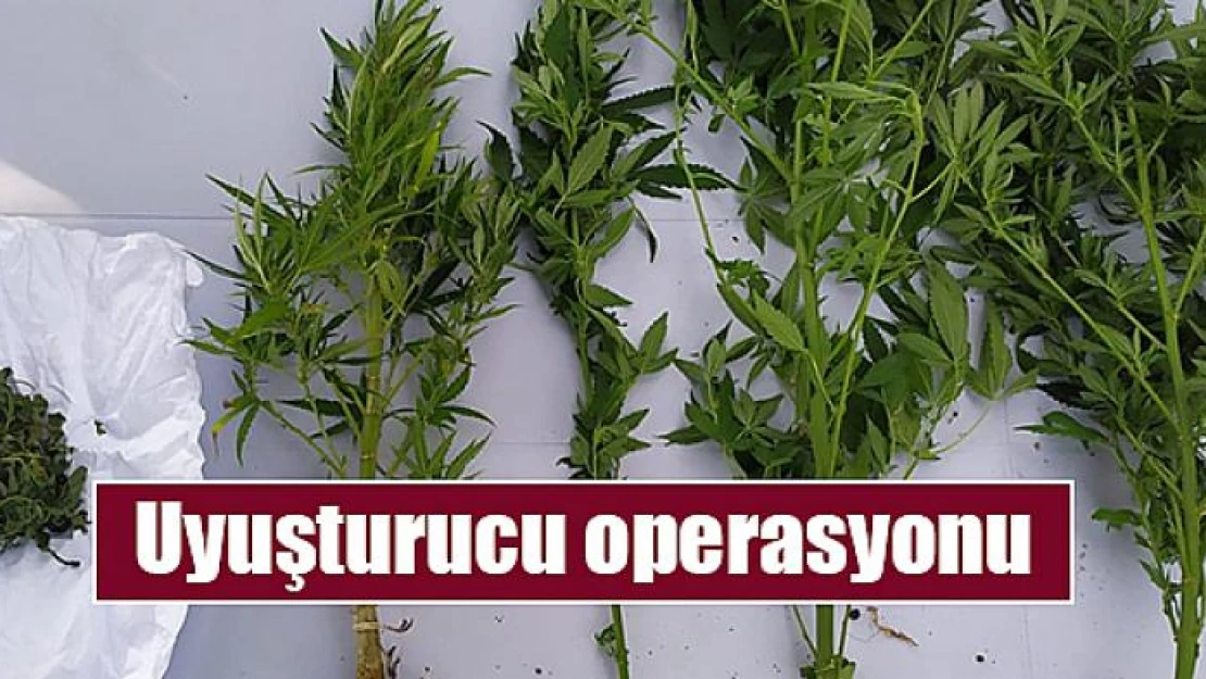 Uyuşturucu operasyonu