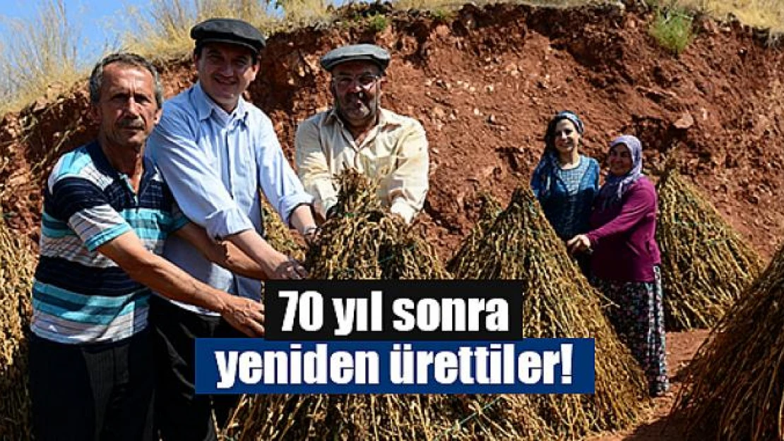 70 yıl sonra yeniden ürettiler!