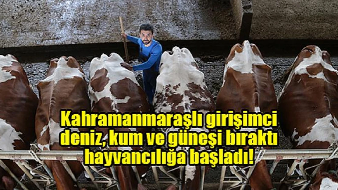 Kahramanmaraşlı girişimci deniz, kum ve güneşi bıraktı hayvancılığa başladı!