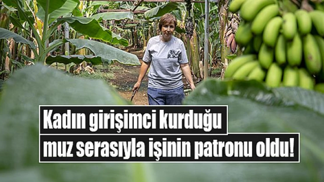 Kadın girişimci kurduğu muz serasıyla işinin patronu oldu