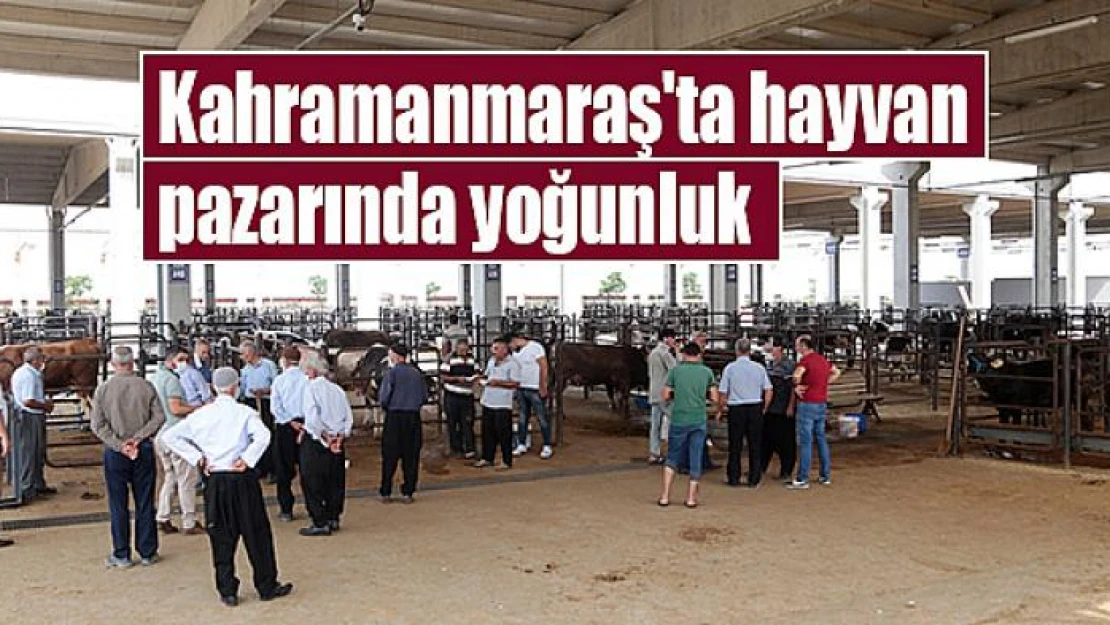 Kahramanmaraş'ta hayvan pazarında yoğunluk