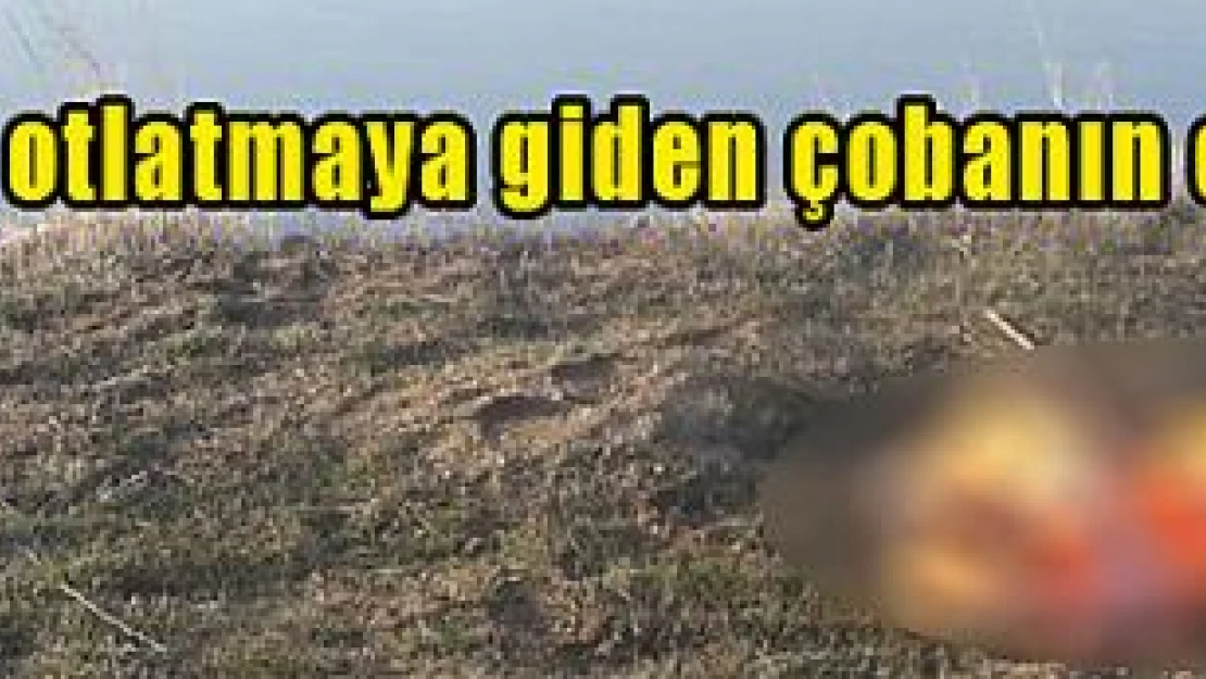 Afşin'de hayvan otlatmaya giden çobanın cesedi bulundu!