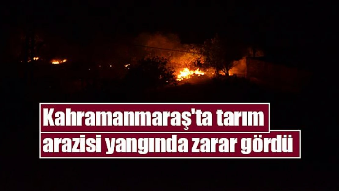 Kahramanmaraş'ta tarım arazisi yangında zarar gördü