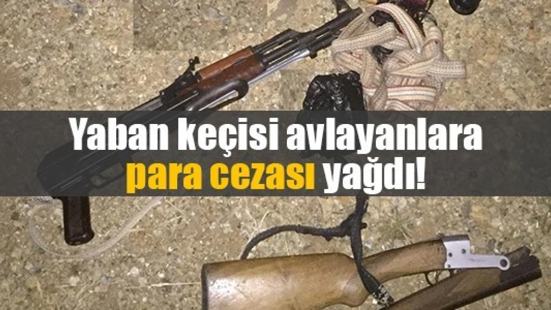 Yaban keçisi avlayanlara para cezası yağdı!