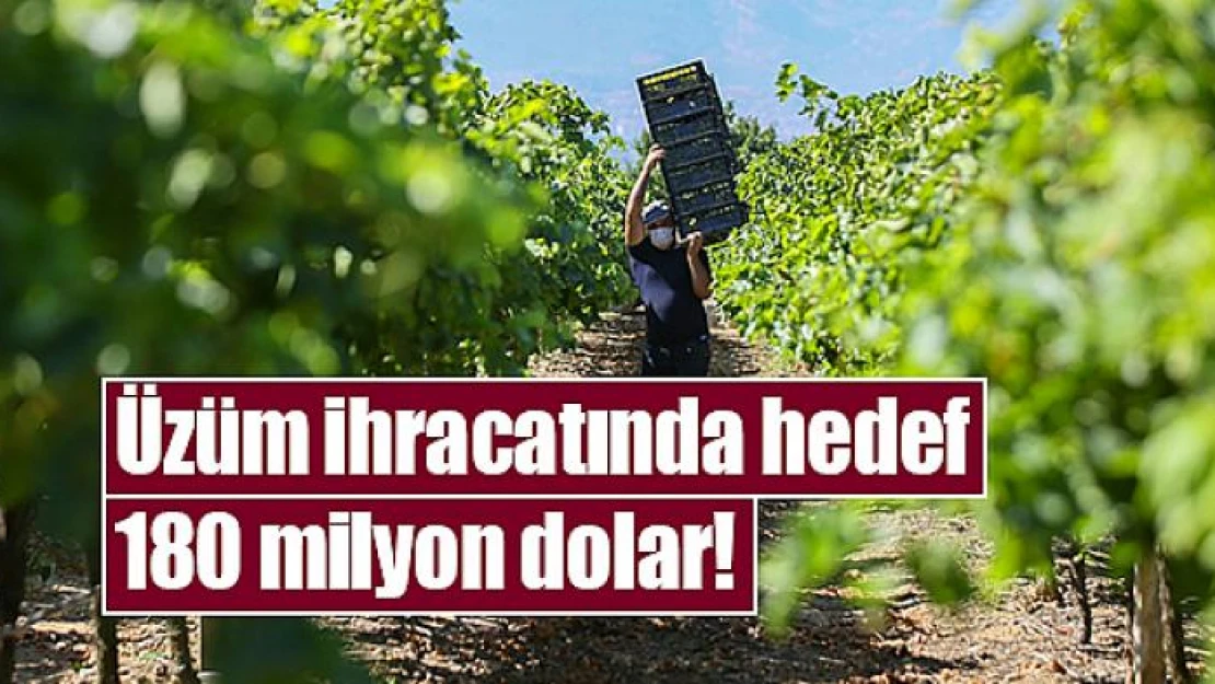 Üzüm ihracatında hedef 180 milyon dolar