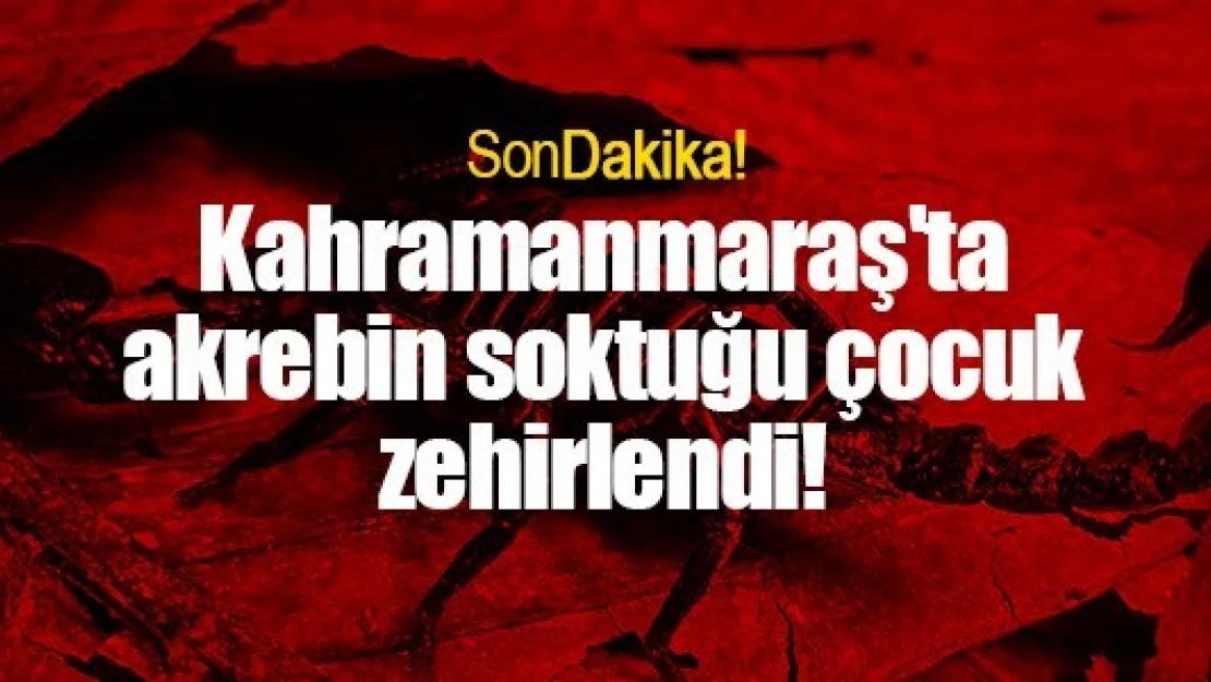 Kahramanmaraş'ta akrebin soktuğu çocuk zehirlendi!