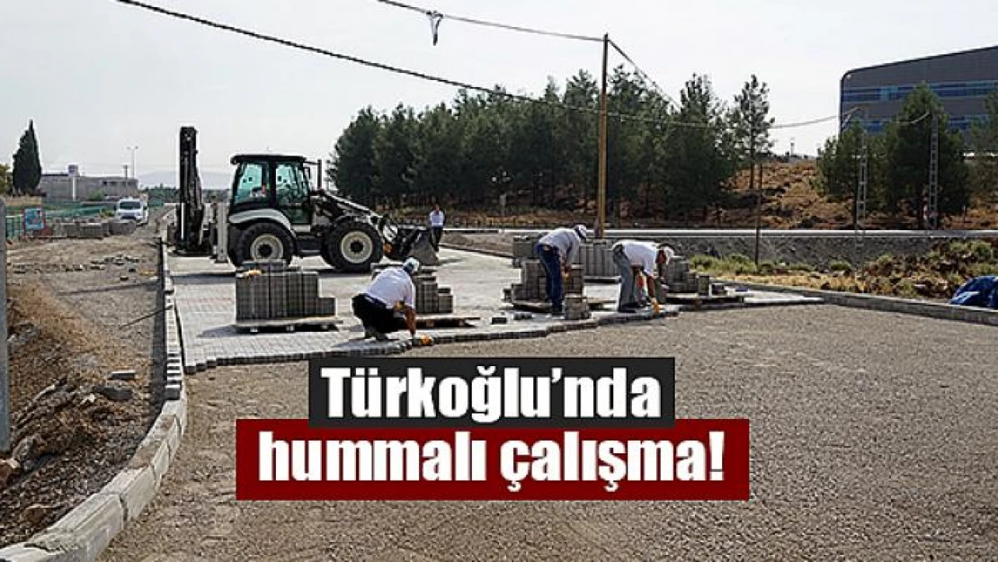 Türkoğlu'nda hummalı çalışma!