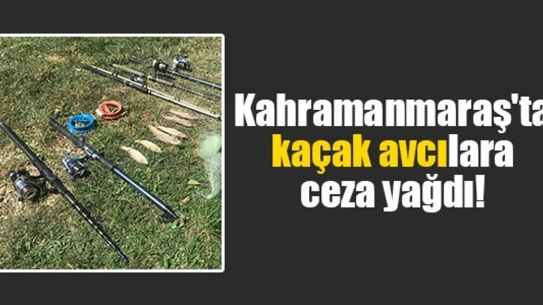 Kahramanmaraş'ta kaçak avcılara ceza yağdı!