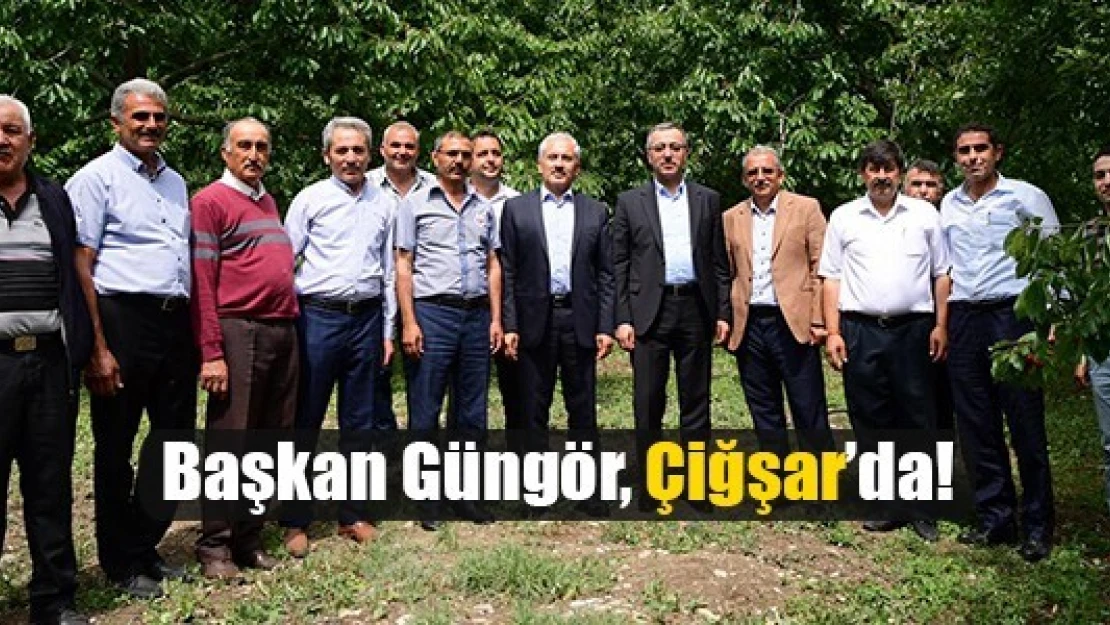 Başkan Güngör, Çiğşar'da!