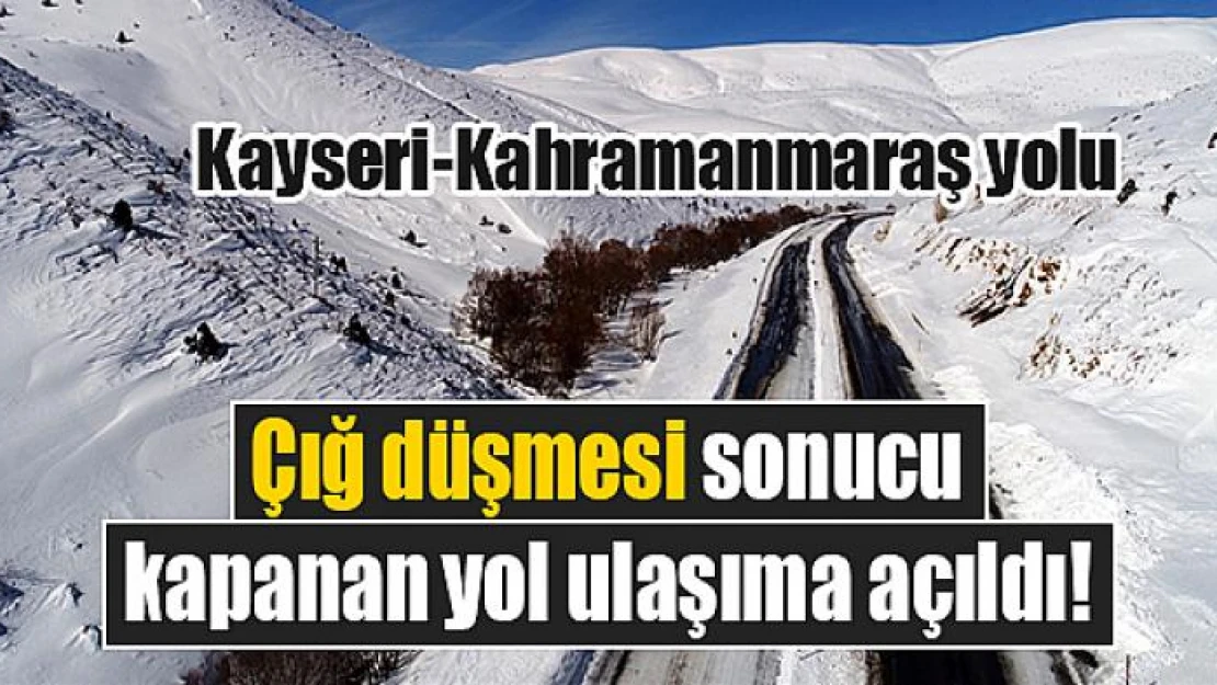 Çığ düşmesi sonucu kapanan yol ulaşıma açıldı!