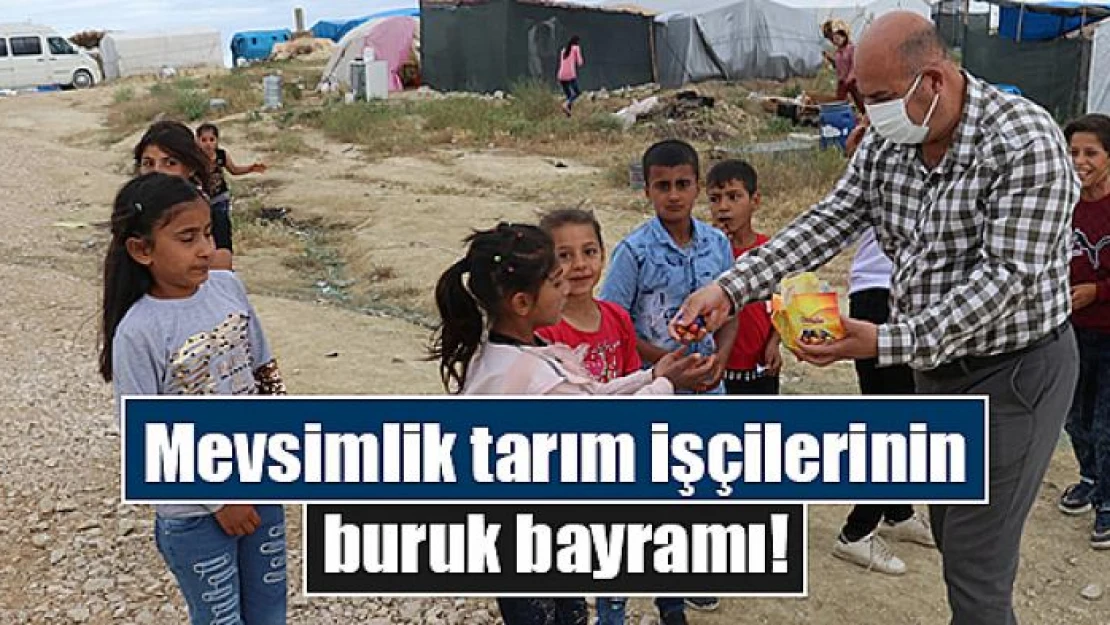 Mevsimlik tarım işçilerinin buruk bayramı