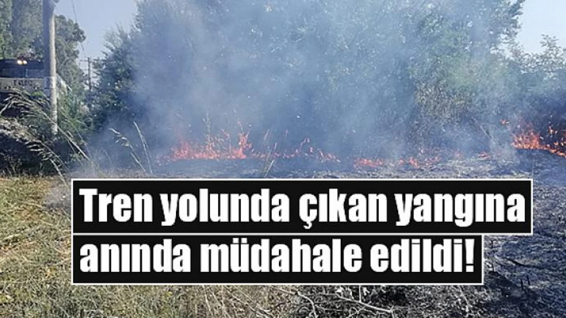 Tren yolunda çıkan yangına anında müdahale edildi