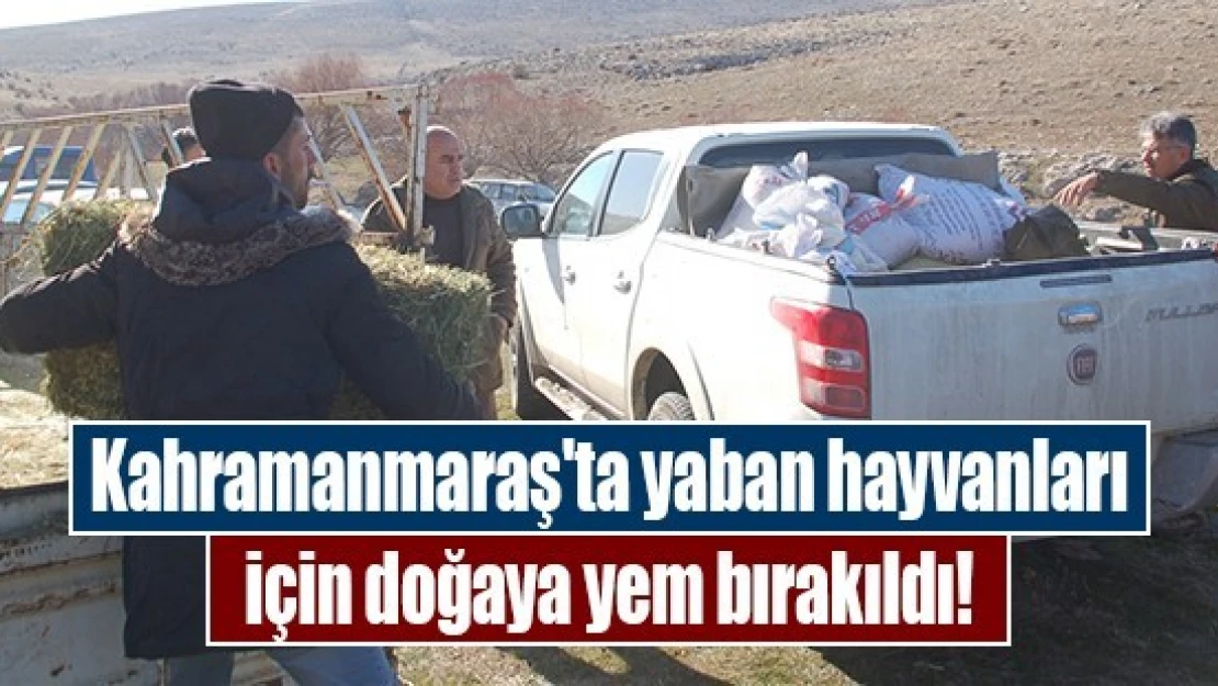 Kahramanmaraş'ta yaban hayvanları için doğaya yem bırakıldı!