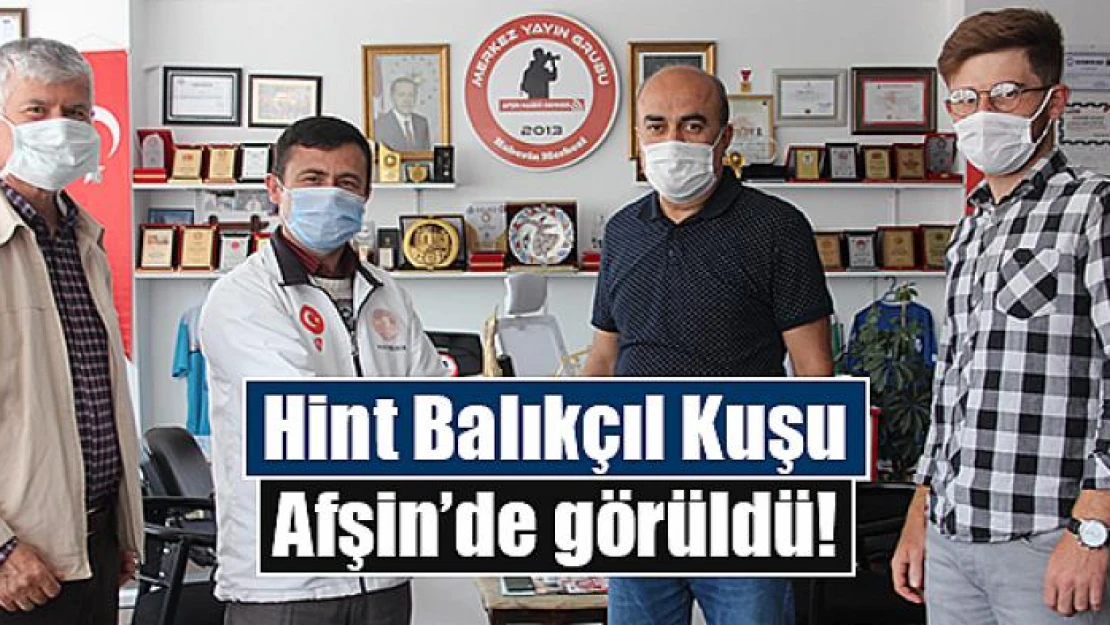 Hint Balıkçıl Kuşu Afşin'de görüldü!