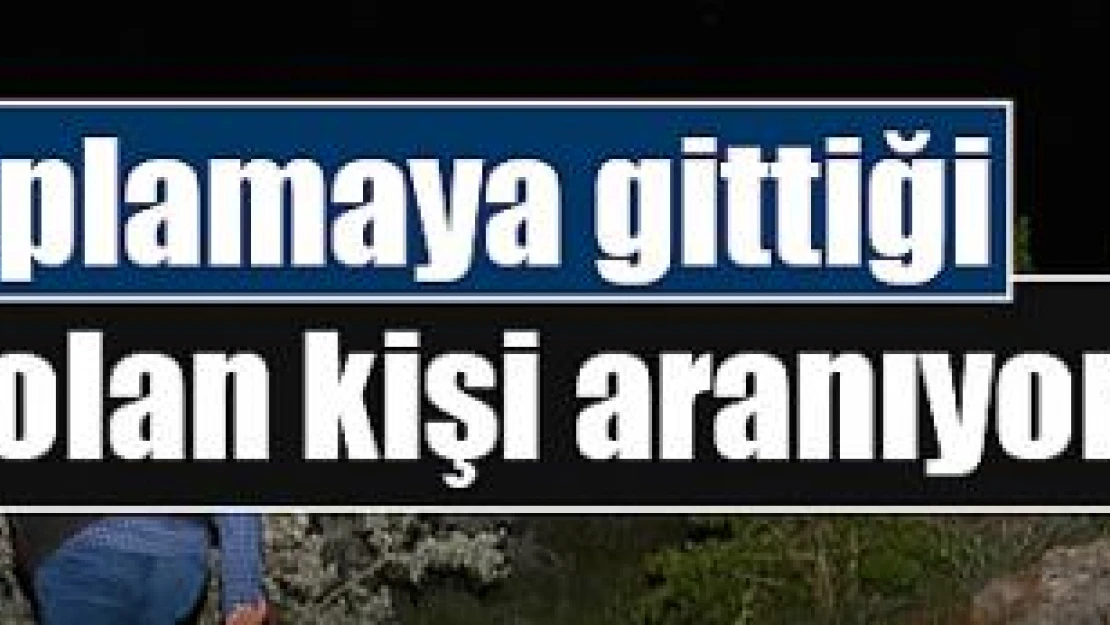 Mantar toplamaya gittiği dağda kaybolan kişi aranıyor